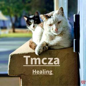 Healing (Explicit)