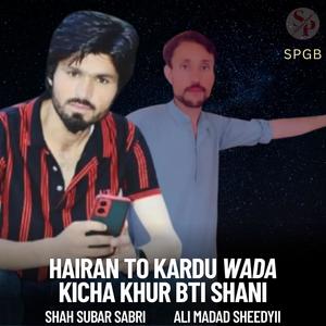 Hairan To Kardu Wada Kicha Khur Bti Shani (feat. Shah Subar Sabri & Ali Madad Sheedyii)