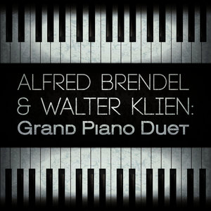 Sonata for Two Pianos in D Major, K. 448: II. Andante (D大调双钢琴奏鸣曲，作品448：第二乐章 行板)
