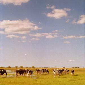 Cheri nou pa ansanm (feat. Chiljud & Bruno Introini) (Explicit)