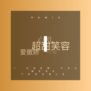 I Knew You Were Trouble (DJ版)