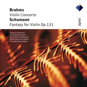Brahms: Violin Concerto in D Major, Op. 77 - I. Allegro non troppo