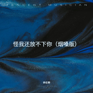 怪我还放不下你 (烟嗓版)