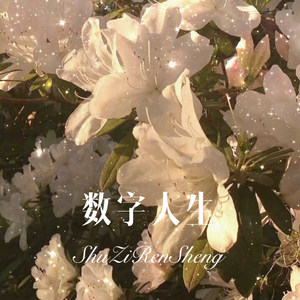 数字人生 (Remix)