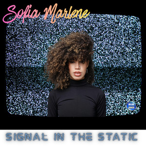 Signal in the Static (Dance Version)