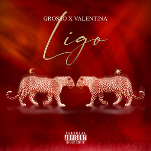 Ligo (Explicit)