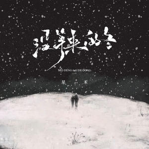 星禾 - 没等来的冬 (DJ版)