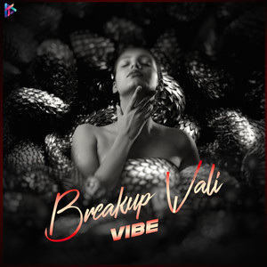 Breakup Wali Vibe (feat. Asli Khari)