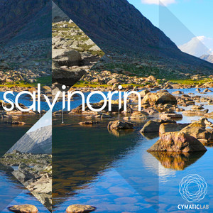 Castle from the Ice City (Remix)