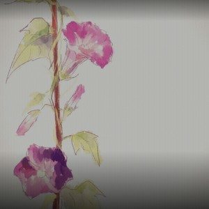 アサガオの散る頃に（牵牛花凋谢之时）