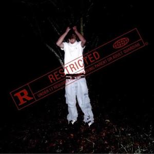 Shadow (feat. Surge) (Explicit)