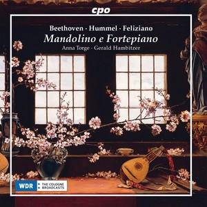 Mandolino e fortepiano