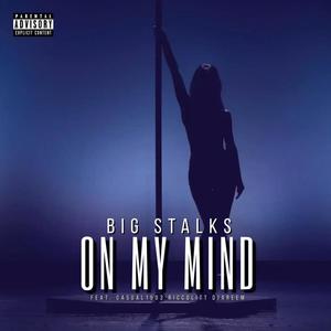 On My Mind (feat. Riccolitt, Casual1503 & Djareem) [Explicit]