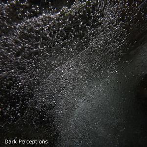 Dark Perceptions