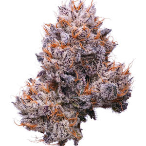 Just playin' (Explicit)