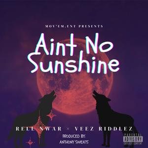 Ain't No Sunshine (feat. Veez Riddlez) [Explicit]