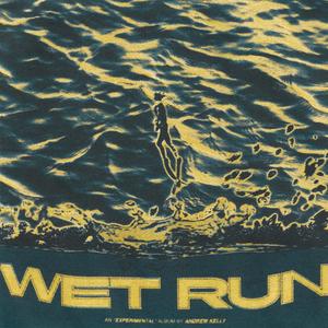 WET RUN (Explicit)