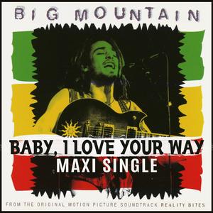 BABY I LOVE YOUR WAY (Mumbai MDMA Electro House Mix by DJ Nasha)