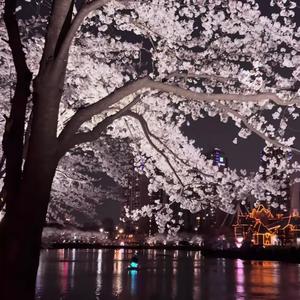 Get high (feat. Spÿdaa) (Explicit)