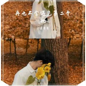 再也不会遇见第二个她