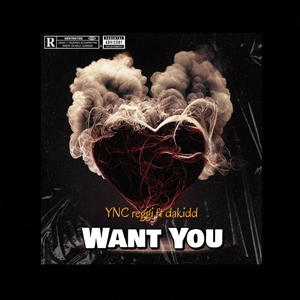 Want you (feat. Dakidd)