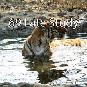 69 Late Study