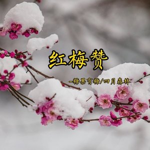 红梅赞