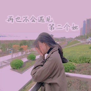再也不会遇见第二个她封面