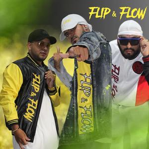 Flip & Flow (feat. Piipe DZ, Roomanov & Pj baby)