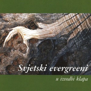 Svjetski evergreeni u izvedbi klapa (Live)