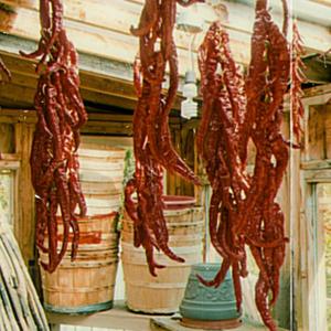 Capsaicin (feat. Coolman Logan) (Explicit)