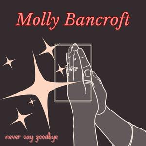 Never Say Goodbye