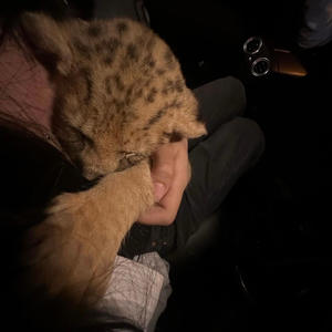 Dumperrr (feat. jah) (Explicit)