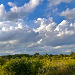 Burning Bridges (feat. kennedyxoxo) (Explicit)