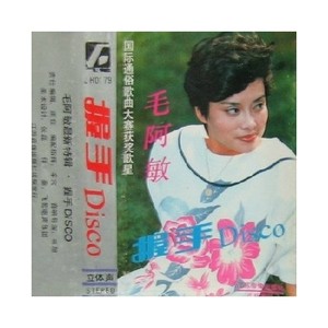爱你不是谎言 - 毛阿敏封面