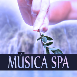 Meditación(Sonidos de la Naturaleza)