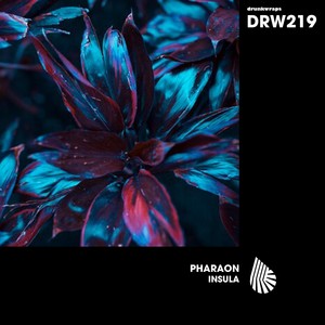 Insula (Extended Mix)