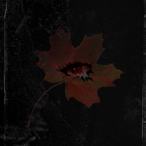 Быть жертвой