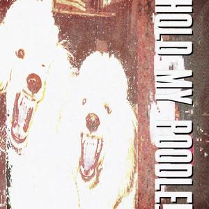 HOLD MY POODLE! (Explicit)