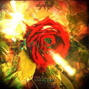 Sun Kissed (feat. Dirtgrass)