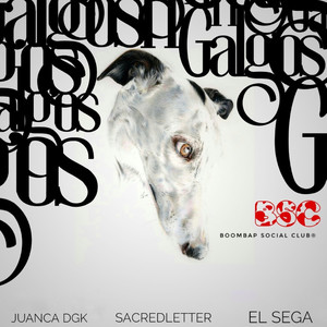 Galgos (Explicit)