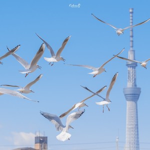 高志远 - G2