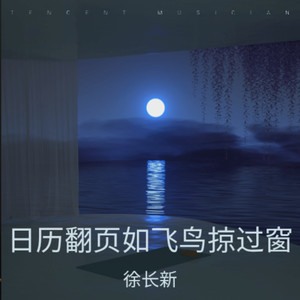 日历翻页如飞鸟掠过窗