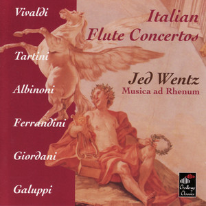 Concerto in E minor - Allegro