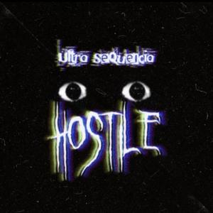 ULTRA SEQUENCIA HOSTILE (feat. DJ FBK) (SLOWED)