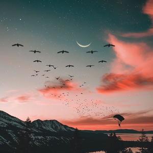 High and Dry (Radio Edit)