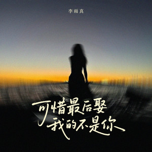 可惜最后娶我的不是你 (伴奏)