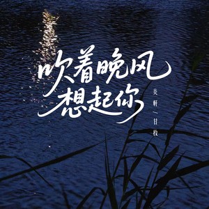 吹着晚风想起你 (伴奏)