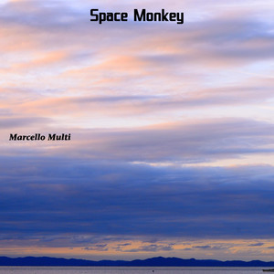 Space Monkey