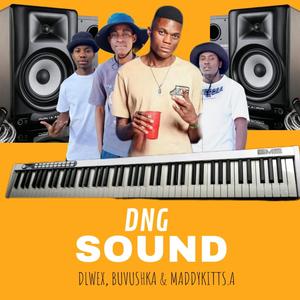 Sound (feat. Dlwex, Buvushka & Maddy Kitt SA)